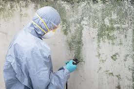 Best Environmental Consulting for Mold Prevention  in Marion, IA